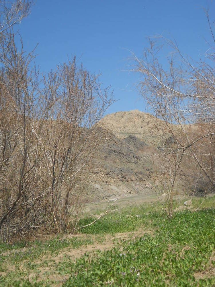 Photograph by Рустам