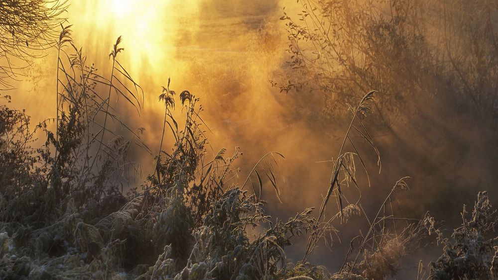 Рассвет над Муринским ручьём