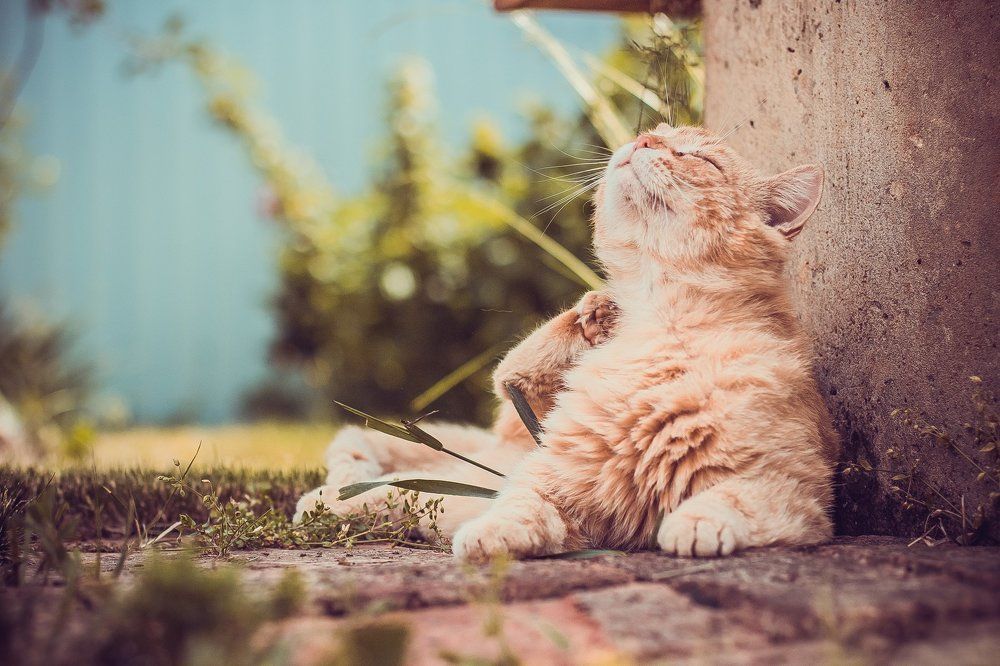 Photograph by Екатерина Кияева