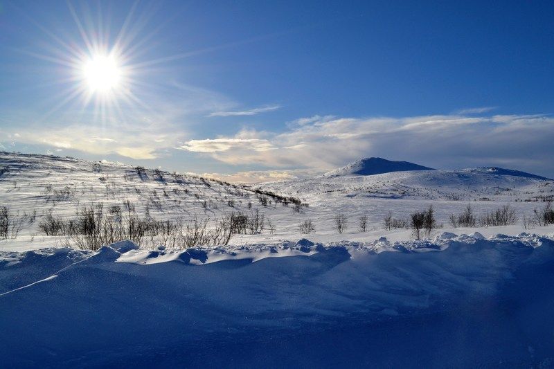 Марина Сытова, Russia