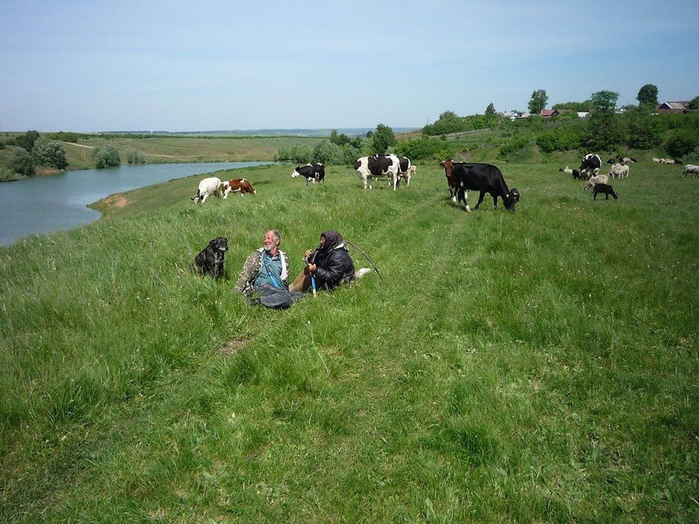 РАЗГОВОР С КАШТАНКОЙ  CONVERSATION WITH KASHTANKA