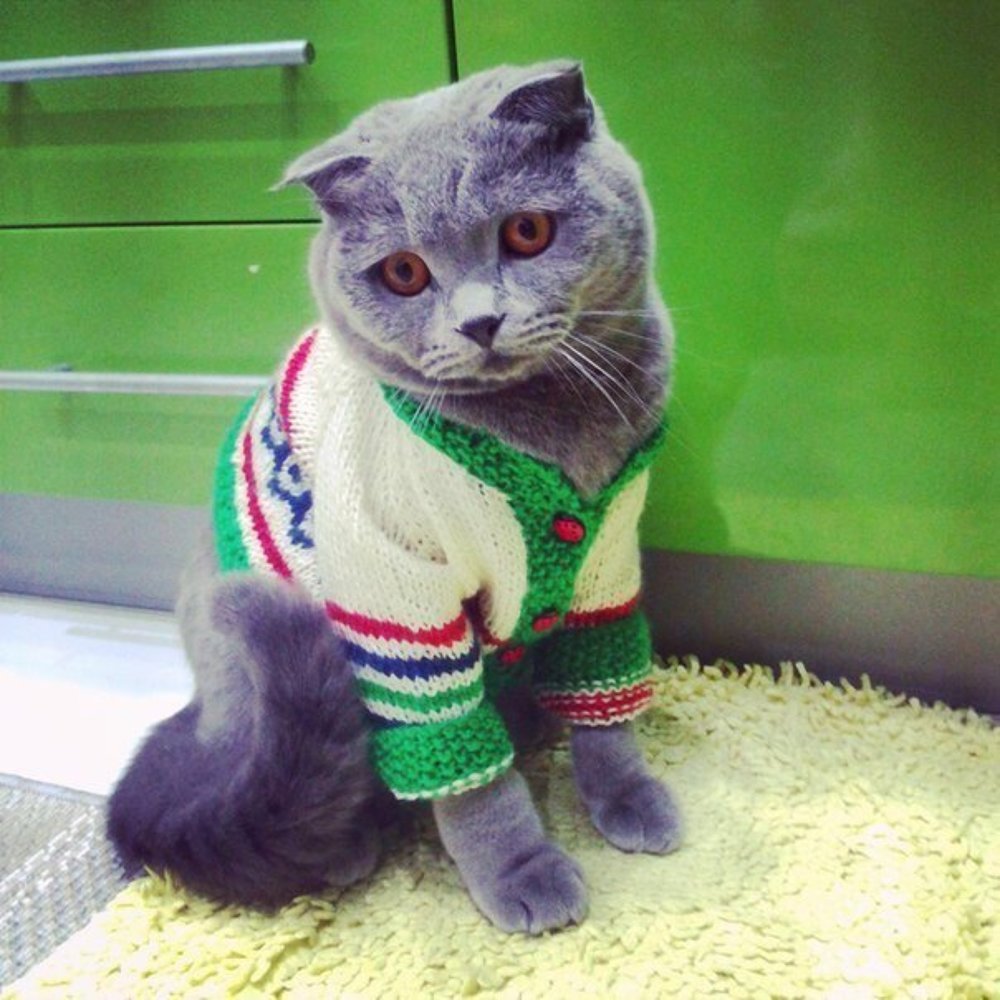 Photograph by Яна