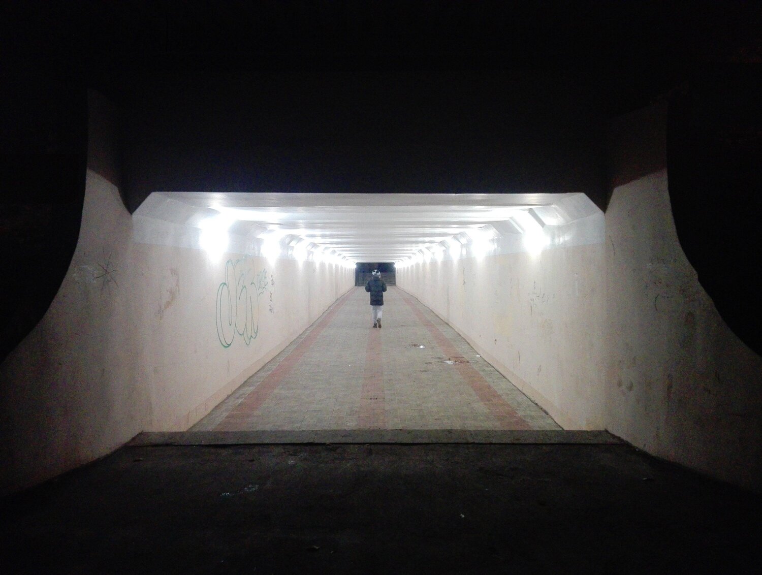 Way in the darkness