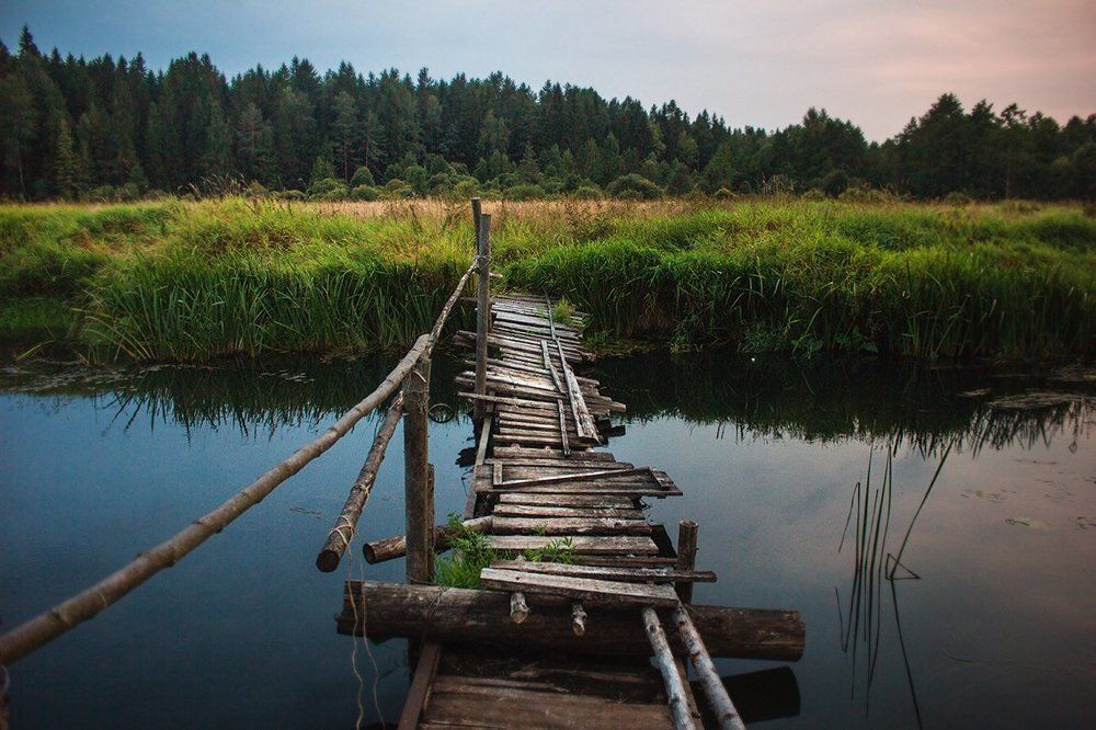 Там, где никто не ходит