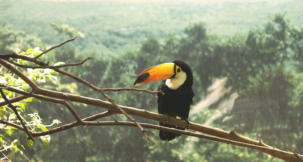 Photograph by Olesja Konstantinova