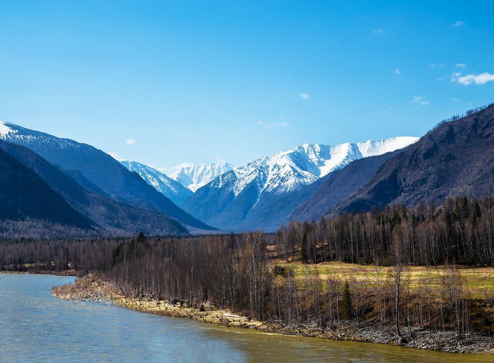Голубые вершины