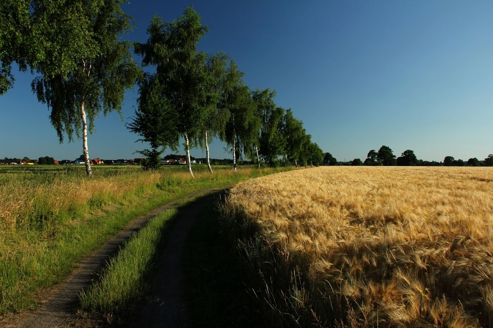 Photograph by Eduard Mezker