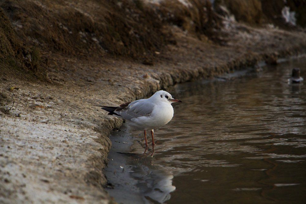 Photograph by Ульяна