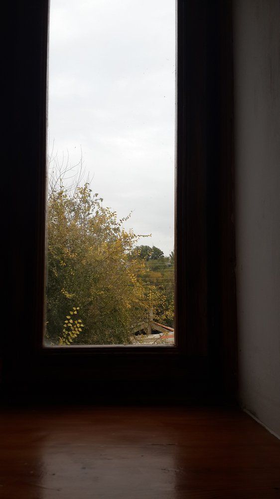 Осень из окна