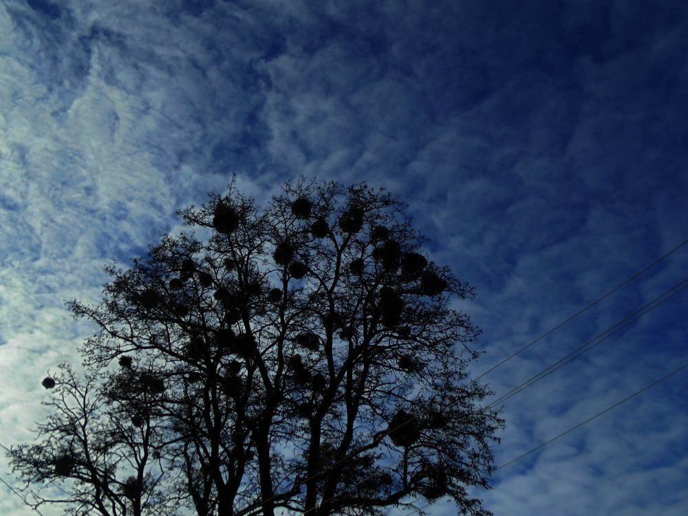 Photograph by Ирина Архипова