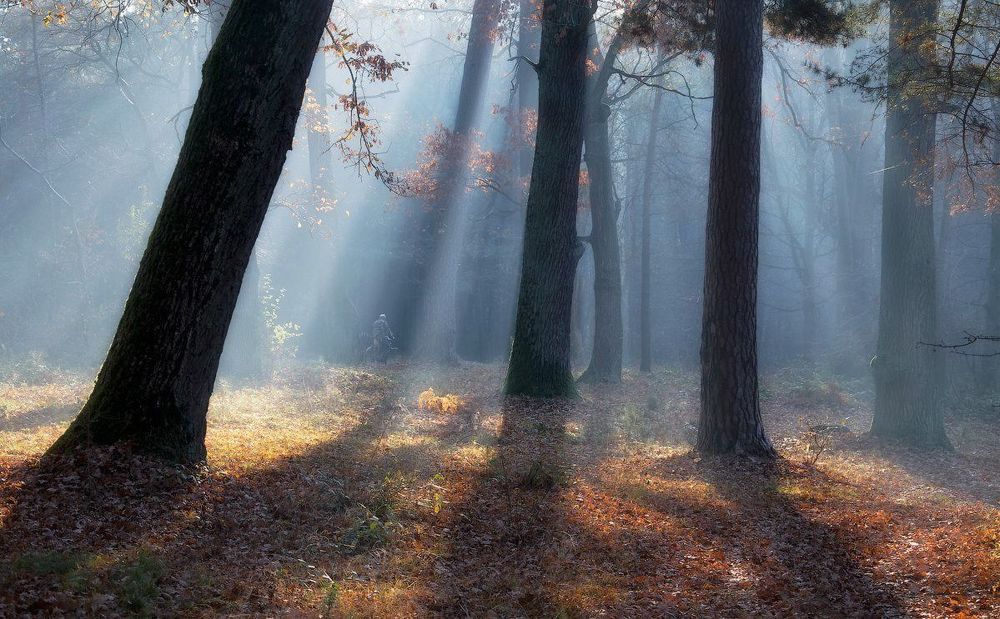 Photograph by Александр Маковский