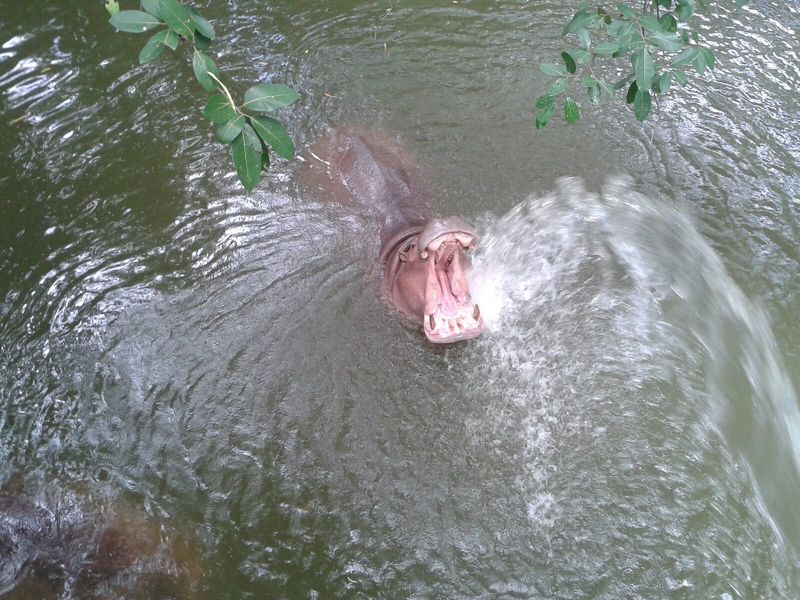 Татьяна Аммосова, Russia