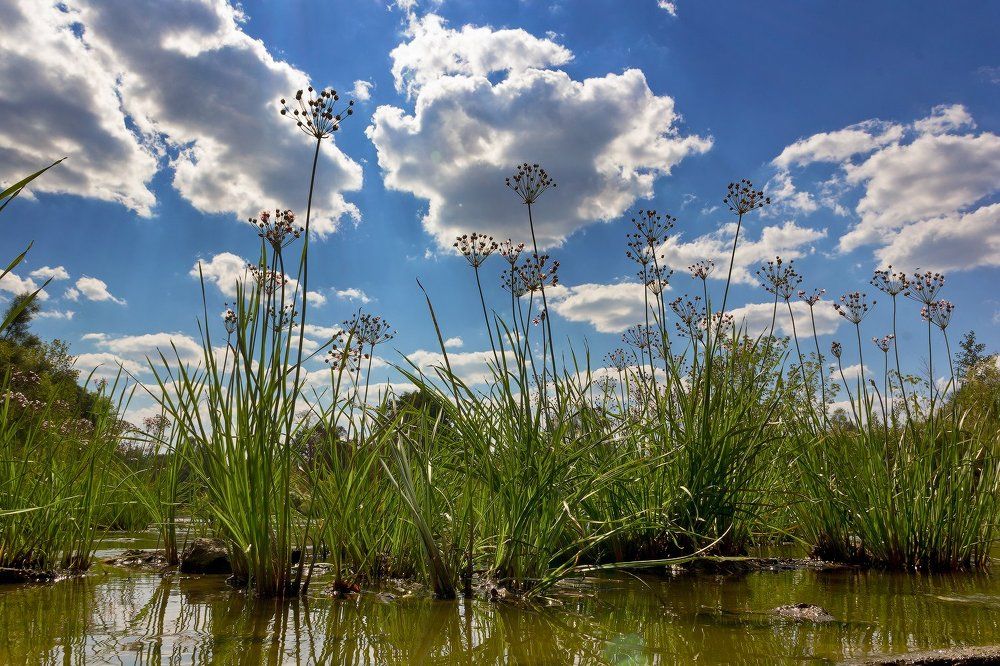 Photograph by Oksana Gek