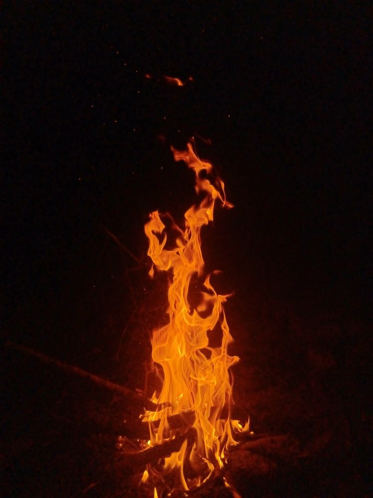 Photo #10100002