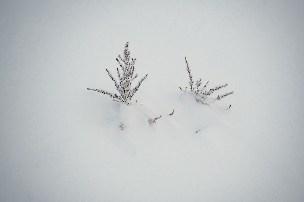 Фотография автора владимир шаронов