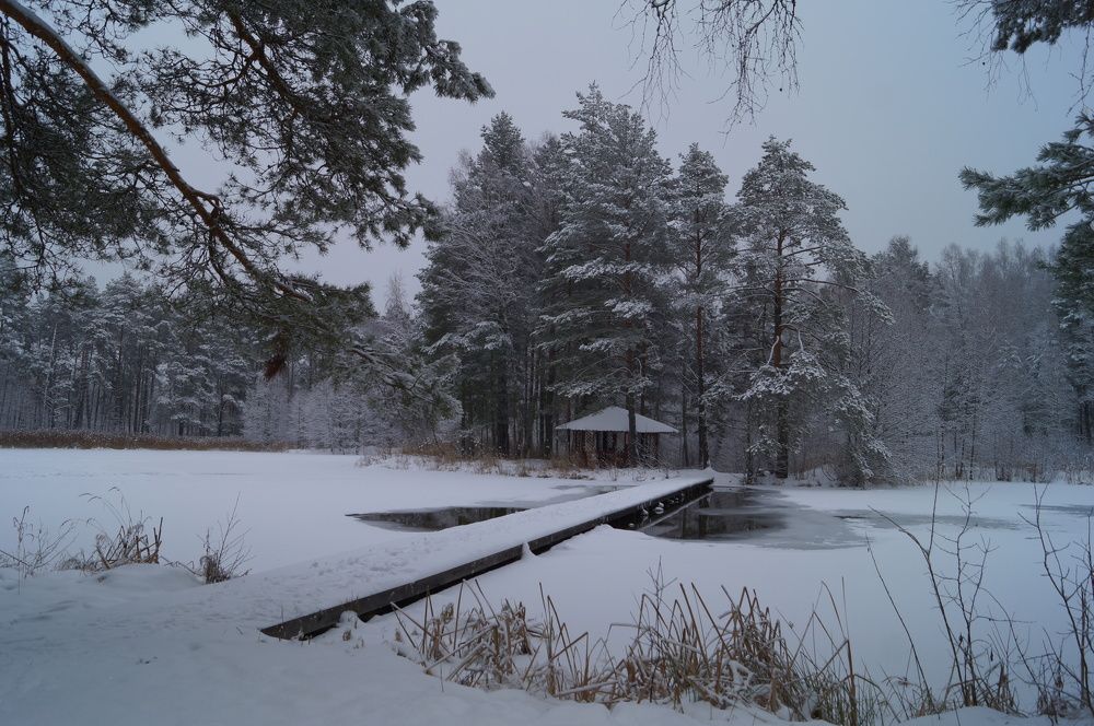 Photograph by Анна Богданова