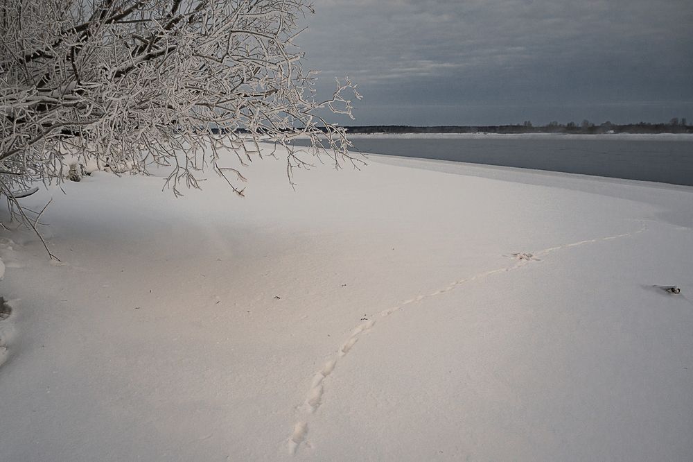 Фотография автора владимир шаронов
