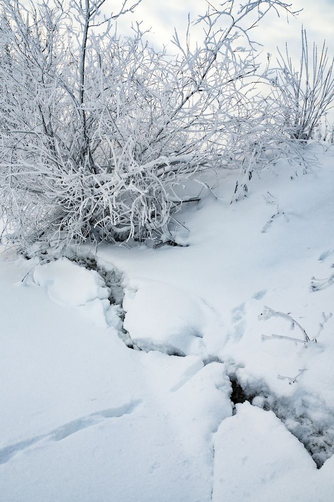 Фотография автора владимир шаронов