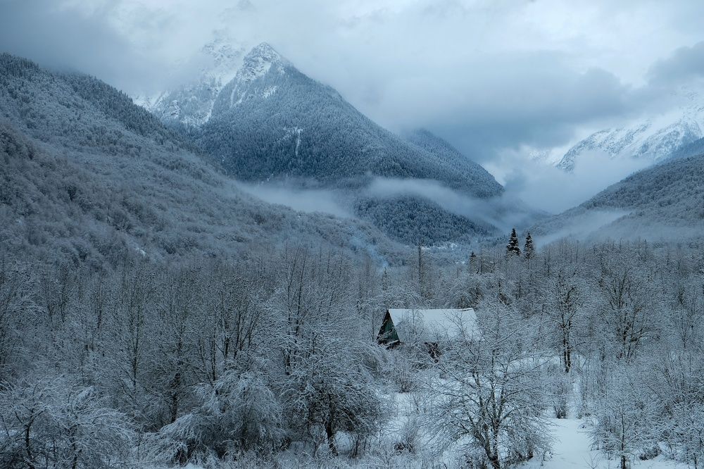 Photograph by Алеся Сафарова