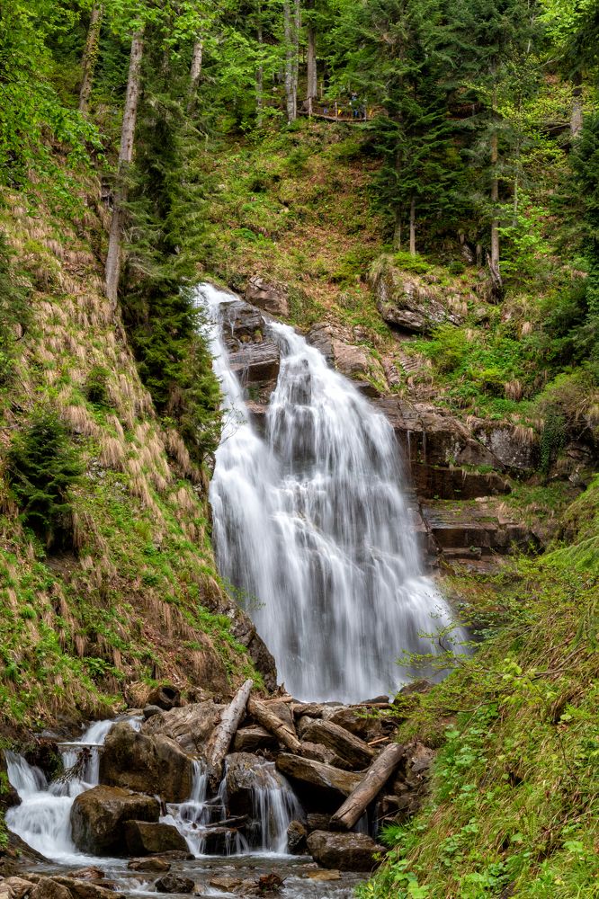 Photograph by Alex Ventura