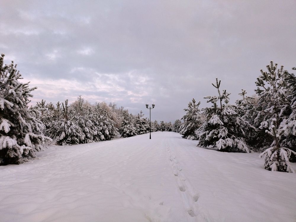 Photograph by Людмила Прибылова