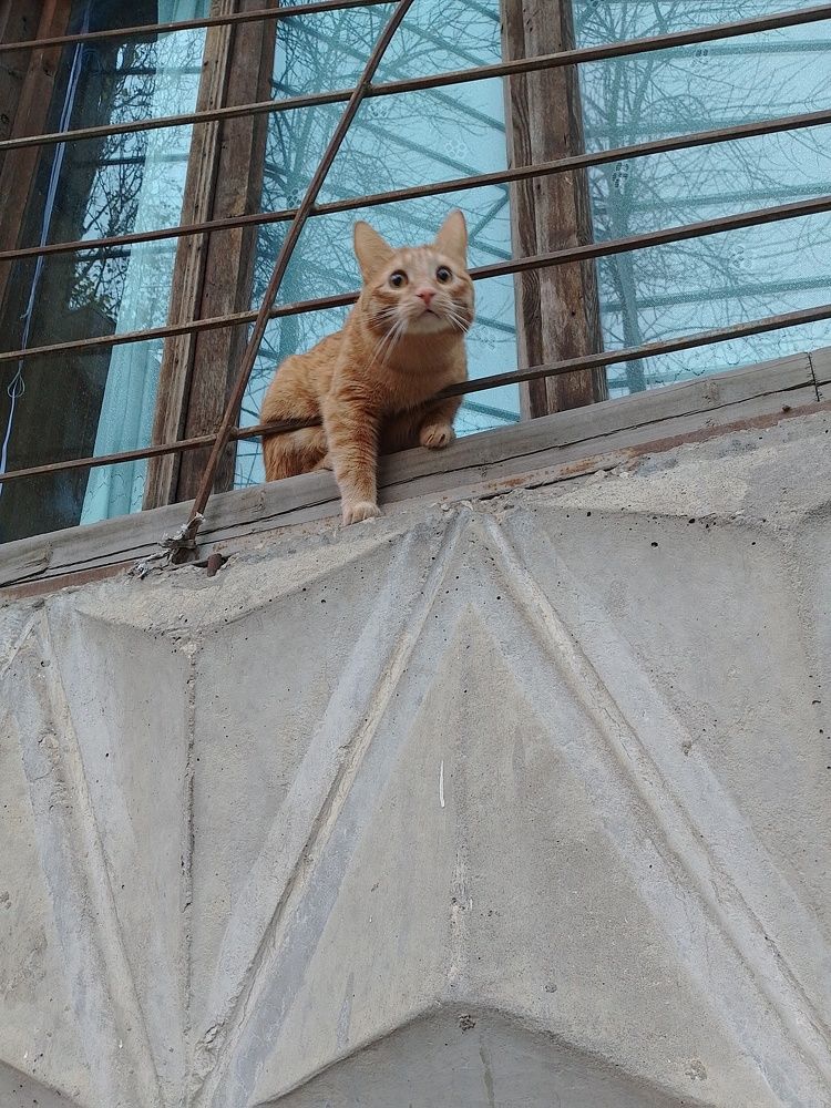 Photograph by Юлия Жулидова