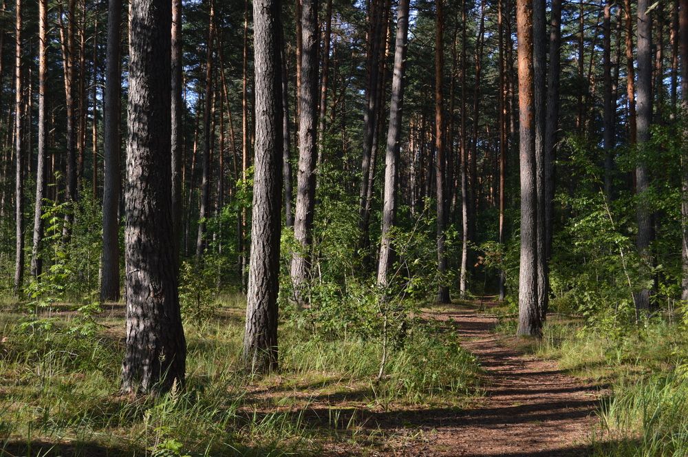 Photograph by Анна Богданова