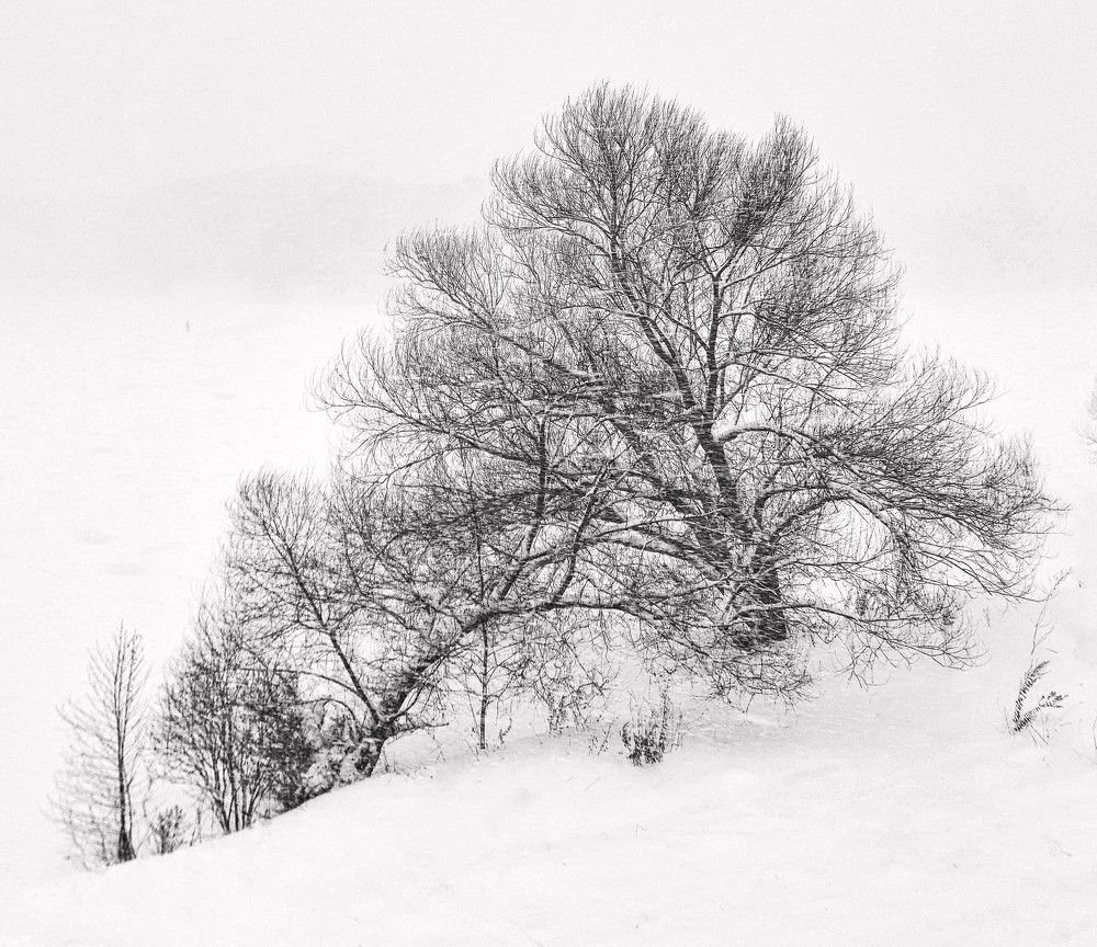 Photograph by Владимир Баулин