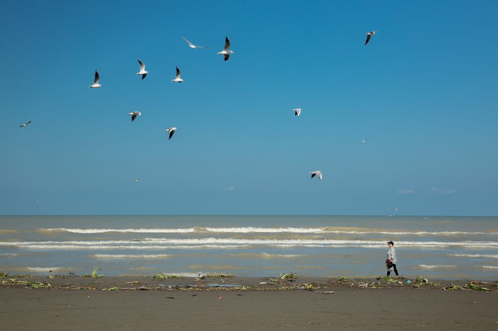 Photograph by seyed mostafa yousefi