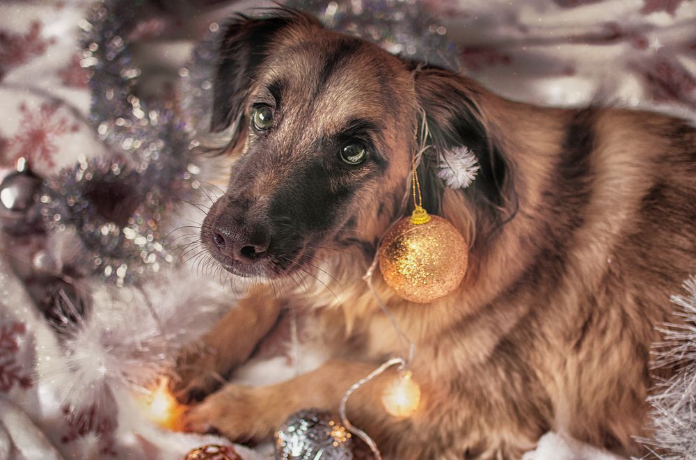 Photograph by Альфия Агзами