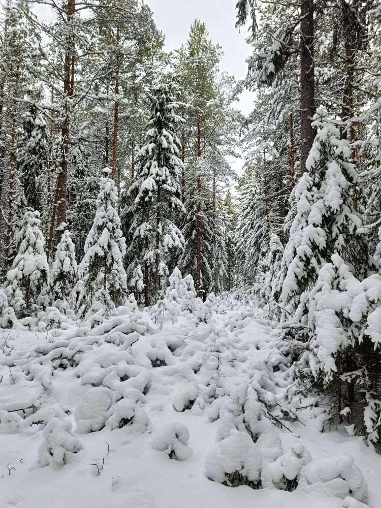 Photograph by Денис Копкин
