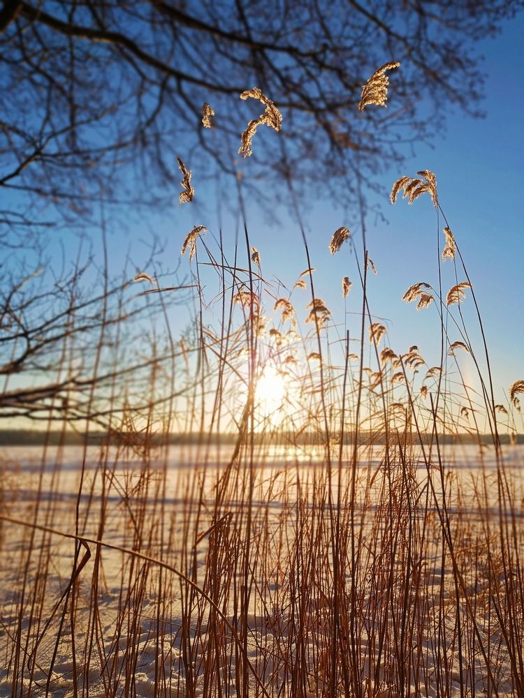 Photograph by Денис Копкин