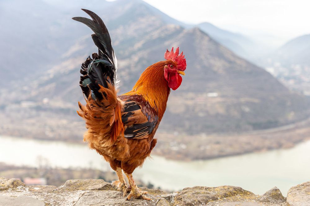 Photograph by Максим Меньшиков