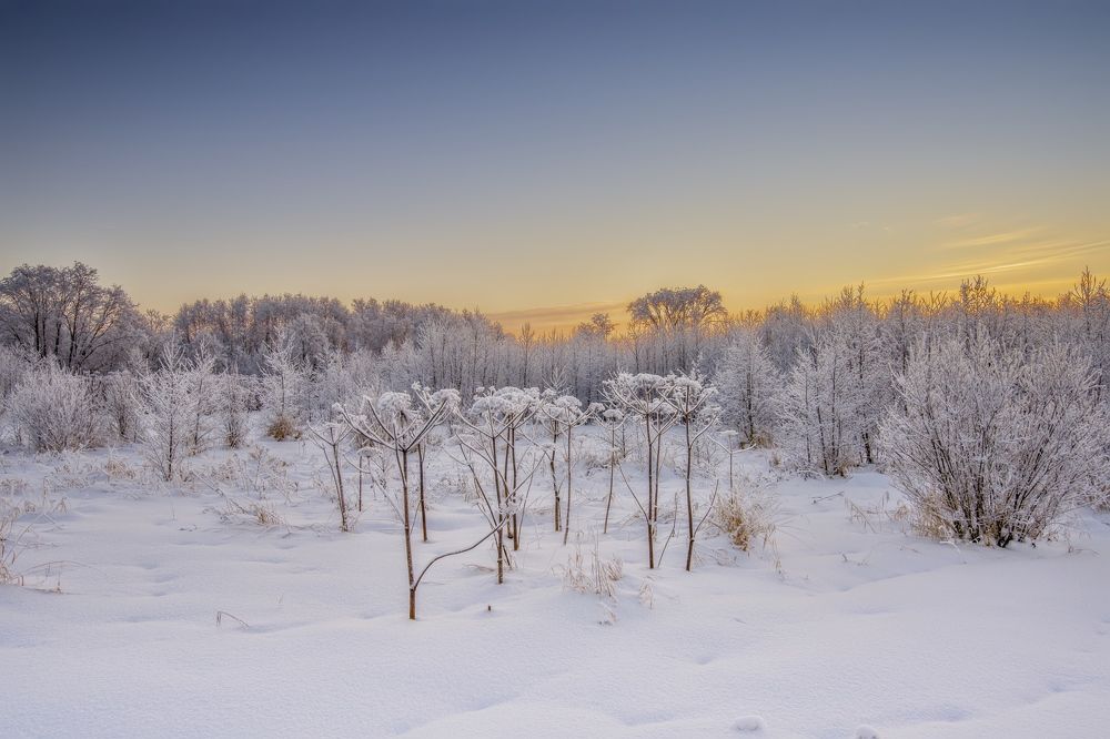 Photograph by Игорь Шишпанов