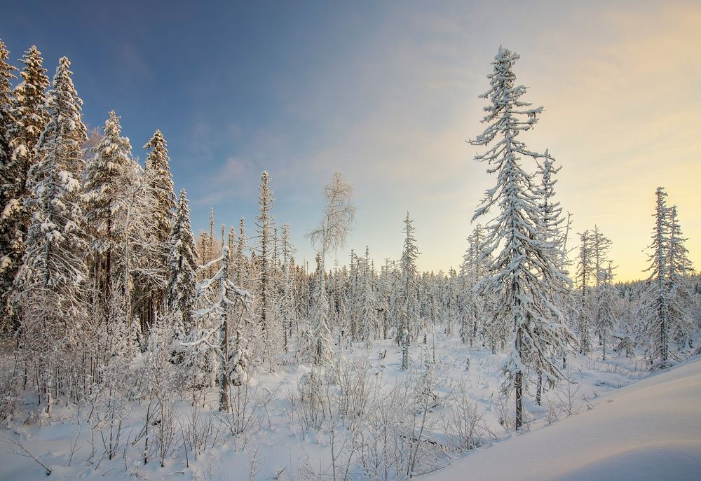 Photograph by Игорь Шишпанов