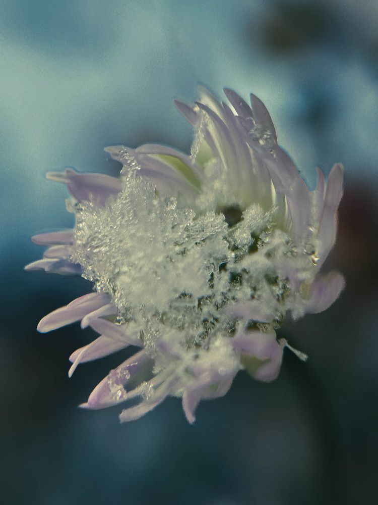 Фотография автора Nastasya Sablina