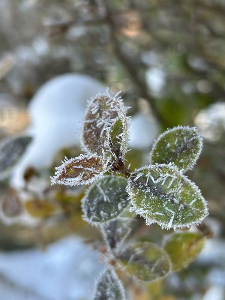 Фотография автора Nastasya Sablina