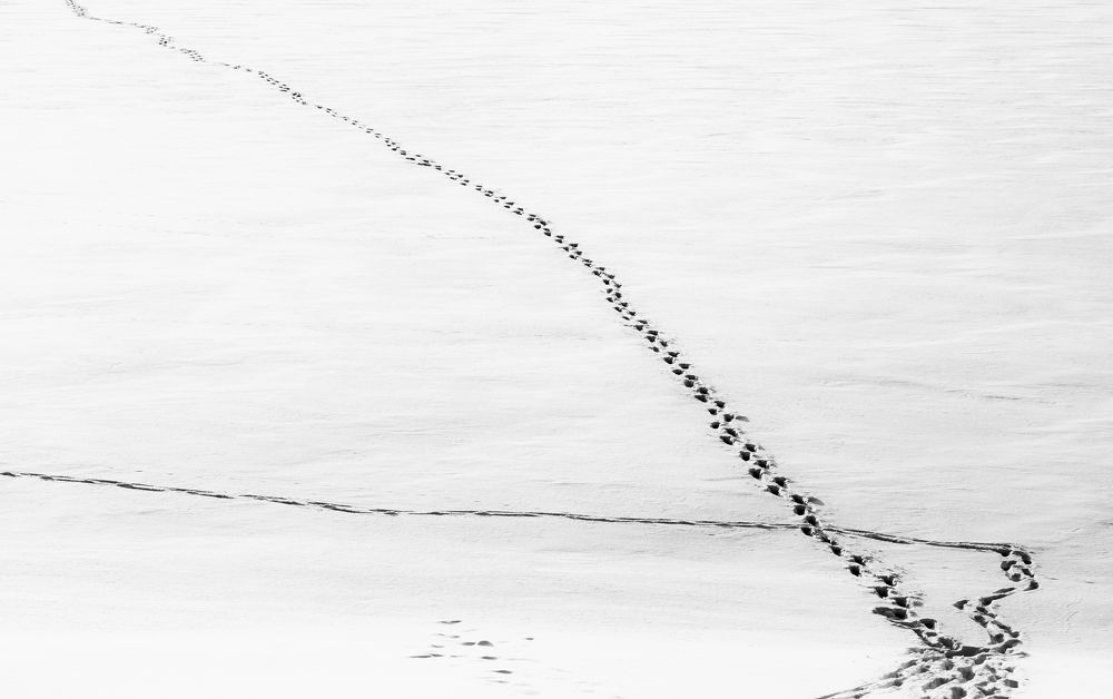 Photograph by Марина Попова