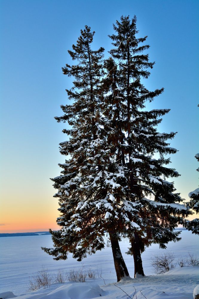 Photograph by Александр Зуев