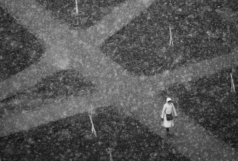 Photograph by Юля Чернецкая