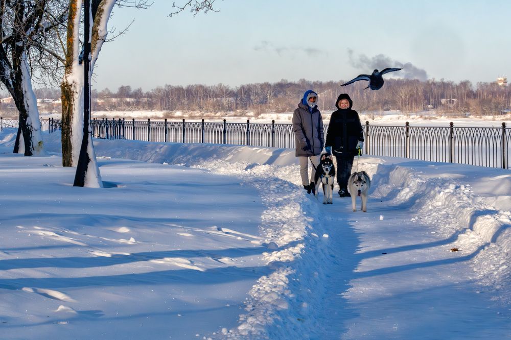 Photograph by Александр Колляков