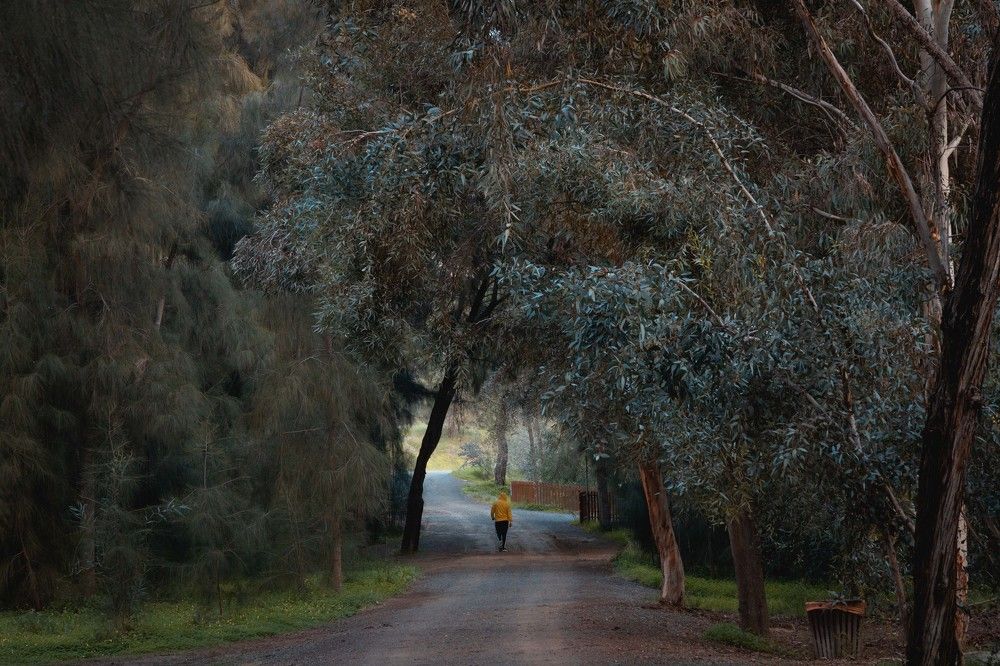 Photograph by Antonis Papaconstantinou