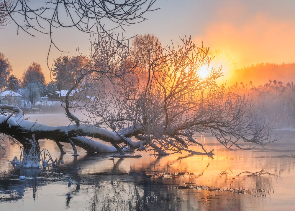 Photograph by Andrew Kuzmin