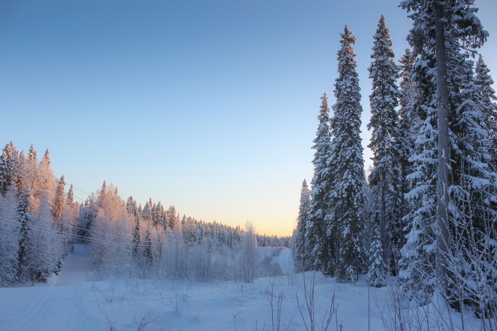 Photograph by Юлия Крюкова