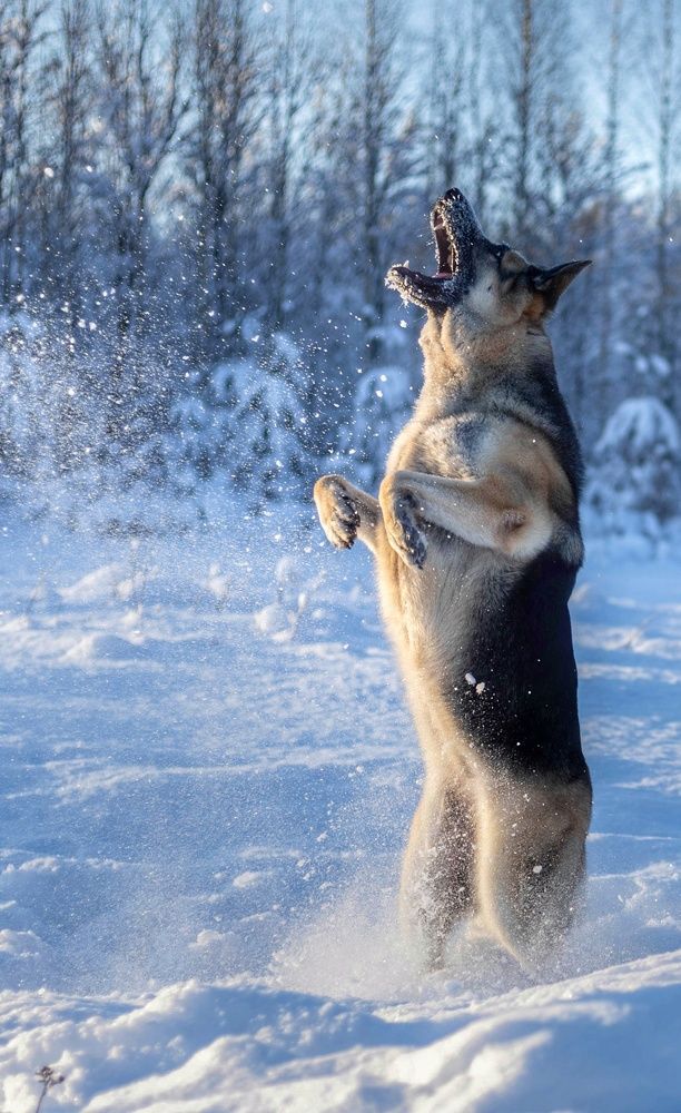 Photograph by Татьяна