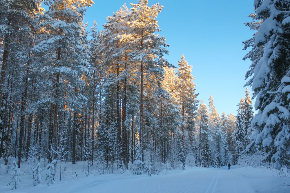 Photograph by Юлия Крюкова