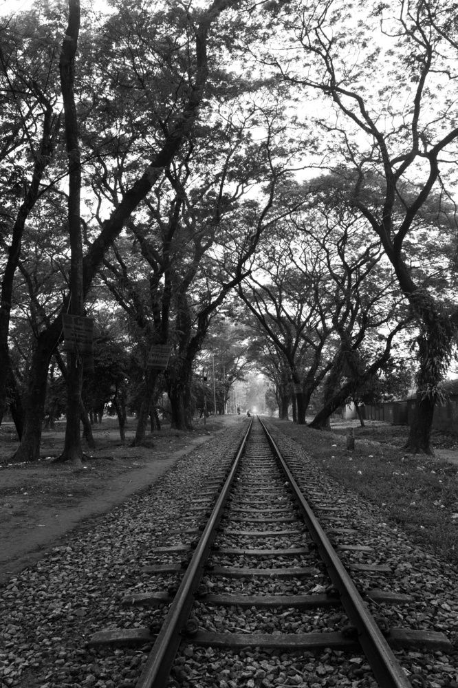 "Everybody has their own story; everybody has their own journey." – Thalia