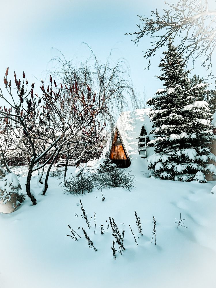 Фотография автора Рамзия Хисамутдинова