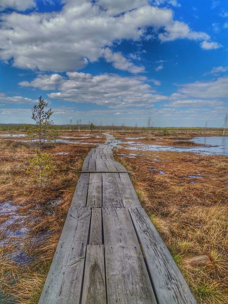 Белорусская Ельня