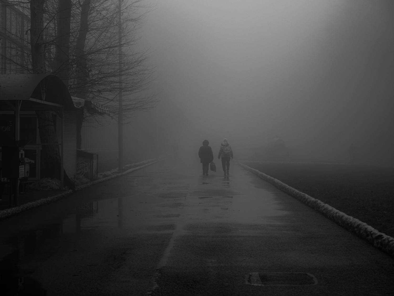 Photo #10100757